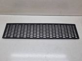 Front bumper lower grill