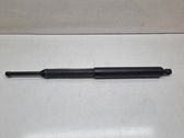 Tailgate/trunk strut/damper