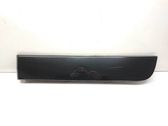Rear door trim (molding)