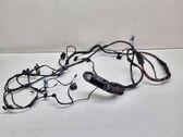 Front door wiring loom
