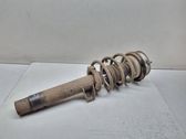 Front shock absorber with coil spring