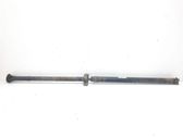 Drive shaft (set)