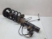 Front shock absorber with coil spring