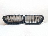 Maskownica / Grill / Atrapa górna chłodnicy