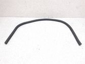 Front door rubber seal