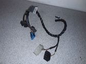 Other wiring loom