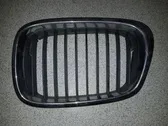 Atrapa chłodnicy / Grill