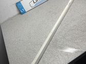 Front door trim (molding)