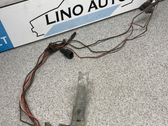 Front door wiring loom
