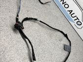 Other wiring loom