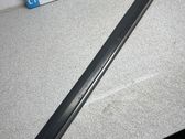 Front door trim (molding)