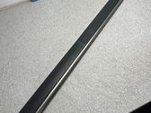 Front door trim (molding)