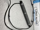Tailgate/trunk strut/damper