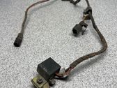 Front door wiring loom