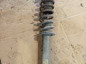 Rear shock absorber/damper
