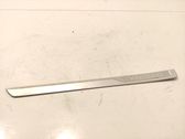 Front sill trim cover