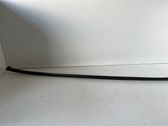 Windshield trim