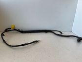 Cables (motor de arranque)