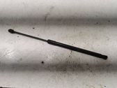 Tailgate/trunk strut/damper
