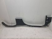 Front sill trim cover