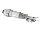 Front air suspension shock absorber