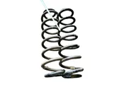 Rear coil spring