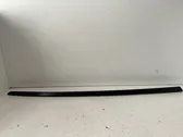 Windshield trim