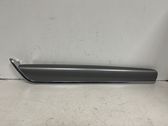 Front door trim (molding)