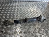 Rear shock absorber/damper