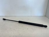 Tailgate/trunk strut/damper