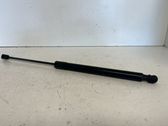 Tailgate/trunk strut/damper