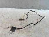 Cableado de puerta delantera