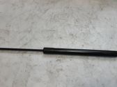Tailgate/trunk strut/damper