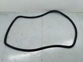 Rear door rubber seal (on body)