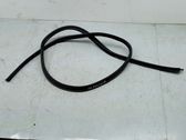 Trunk rubber seal (body)