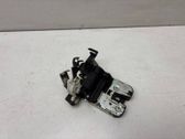 Loading door lock