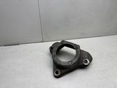 Coil spring mount