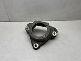 Coil spring mount
