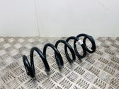 Rear coil spring