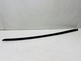 Windshield trim