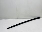 Windshield trim