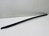 Windshield trim