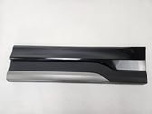 Rear door trim (molding)