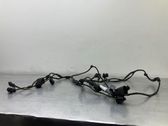 Other wiring loom