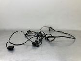 Other wiring loom