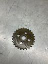 Timing chain sprocket