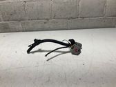 Fog light bulb