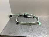 Roof airbag