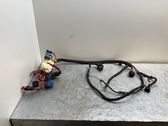 Gearbox/transmission wiring loom