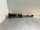 Rear shock absorber/damper